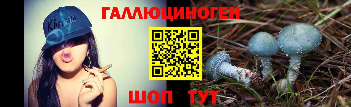 Галлюциногенные грибы мухоморы Зима